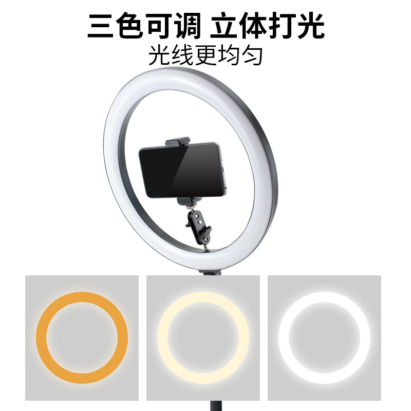 Supporto da tavolo per telefon - Photography Lighting Overhead recensione e prezzo