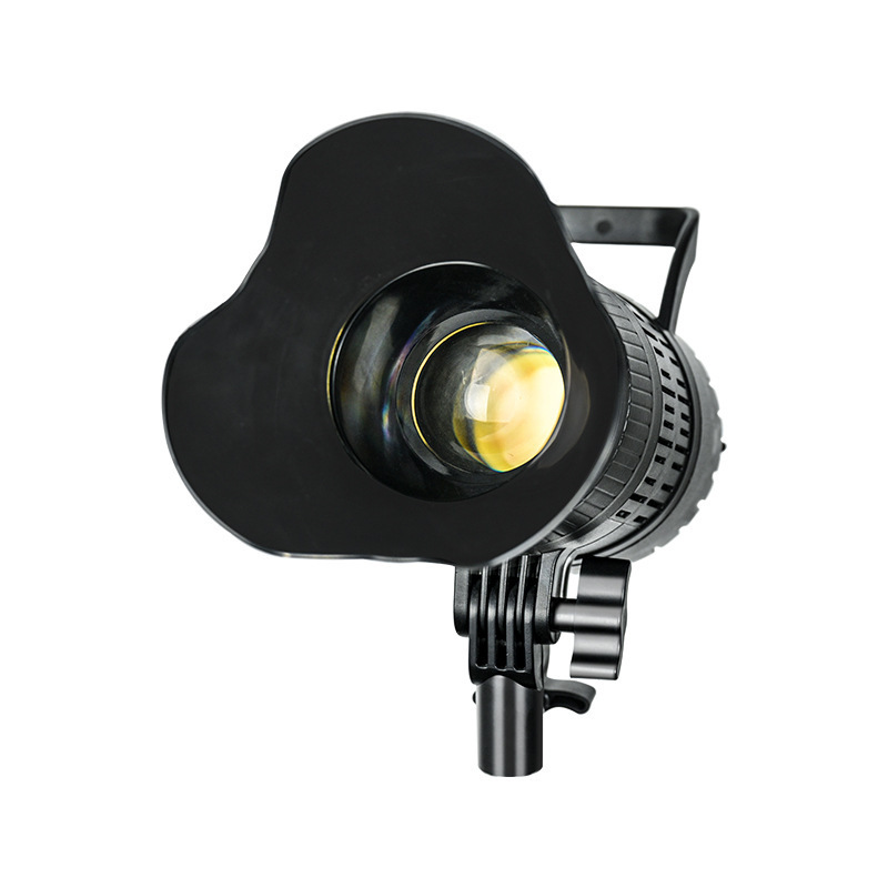 Faretto LED 220V Studio Video  - Portrait Photography With Lighting recensione e prezzo