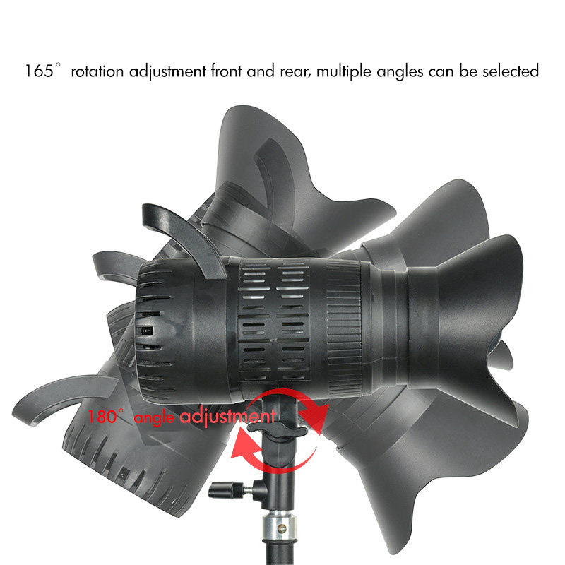 Faretto LED 220V Studio Video  - Portrait Photography With Lighting recensione e prezzo