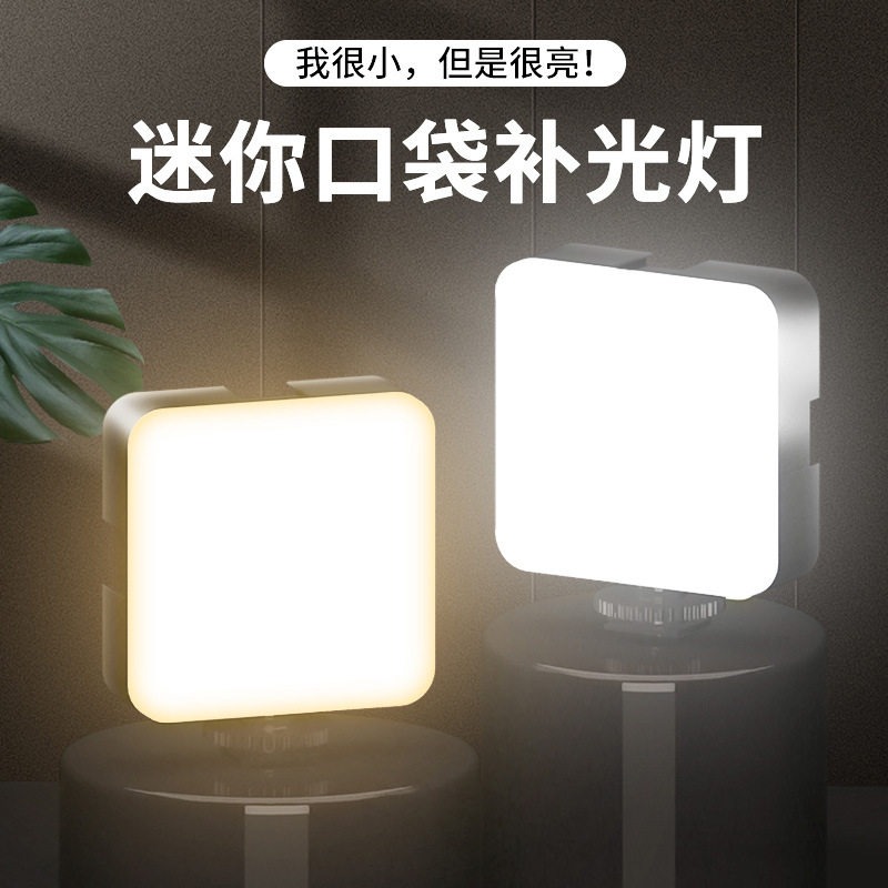 Luce Video Portatile Tascabile - Portrait Photography With Lighting recensione e prezzo